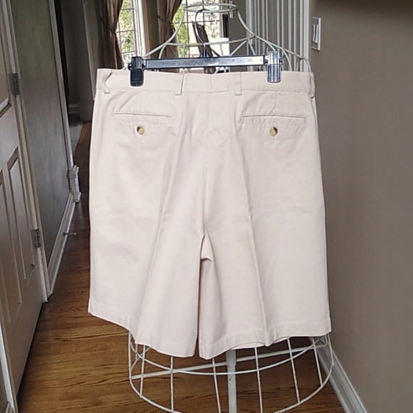 Evergreen Shorts - Picture 3 of 9